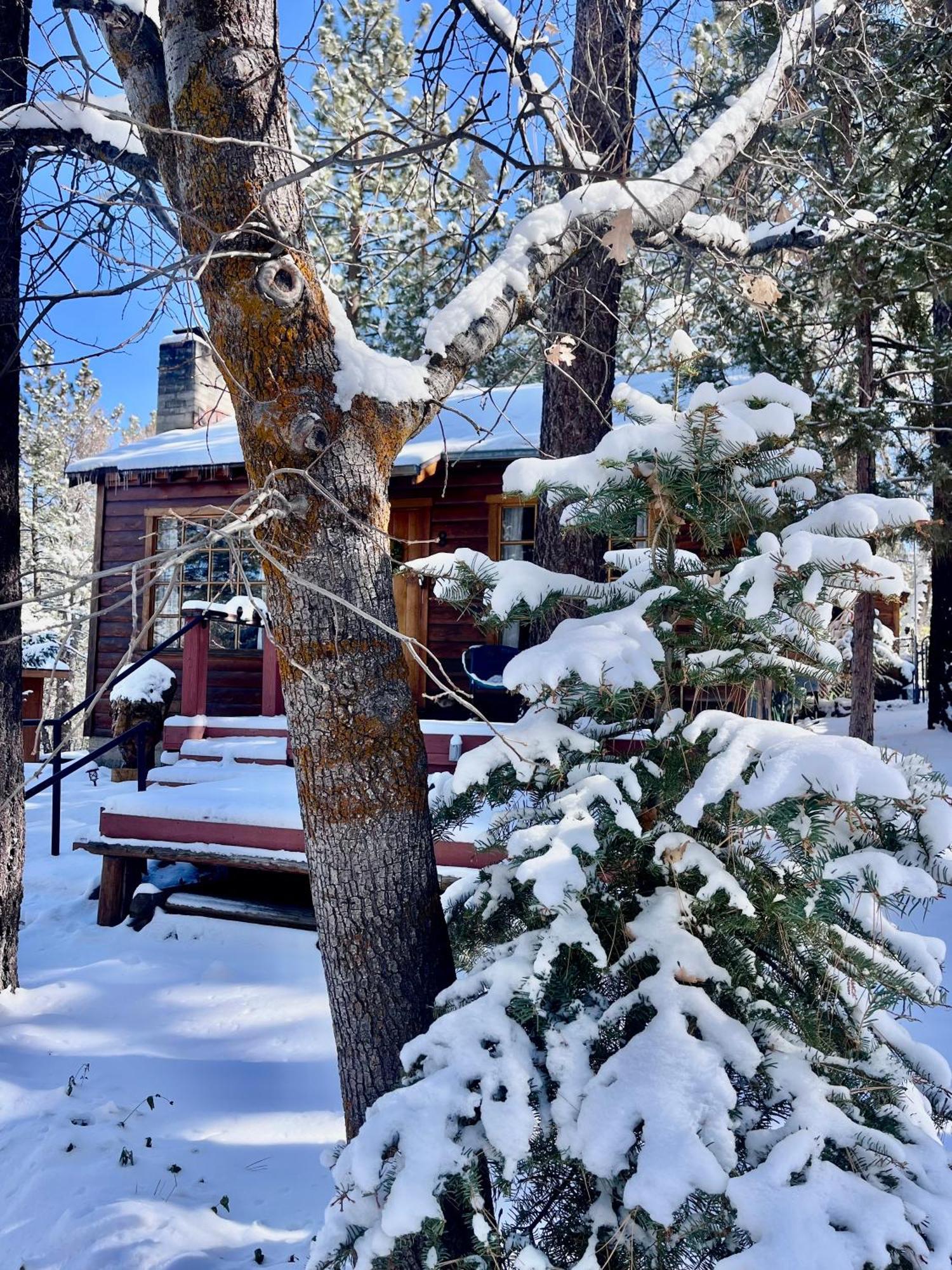 The Nest On Towne Trail - Hot Tub, Bbq, Fire Pit Villa Big Bear Lake Exteriör bild