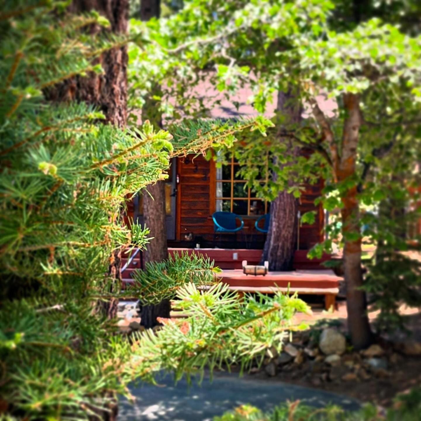 The Nest On Towne Trail - Hot Tub, Bbq, Fire Pit Villa Big Bear Lake Exteriör bild